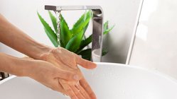 Hände werden unter einem modernen Wasserhahn gewaschen, während eine grüne Pflanze im Hintergrund sichtbar ist.